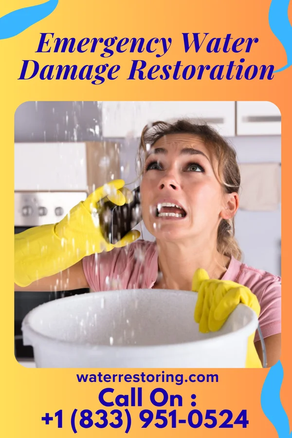 Emergency Water Damage Restoration in Coggon, IA