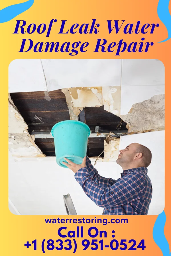 Roof Leak Water Damage Repair in Coggon, IA